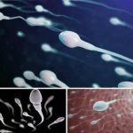 Many know! Studies reveal that swallowing your partner’s semen… See more 👎👎