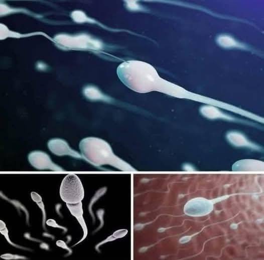 Many know! Studies reveal that swallowing your partner’s semen… See more 👎👎