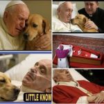 🕊️ Pope Francis asked to say goodbye to his dog seconds before .