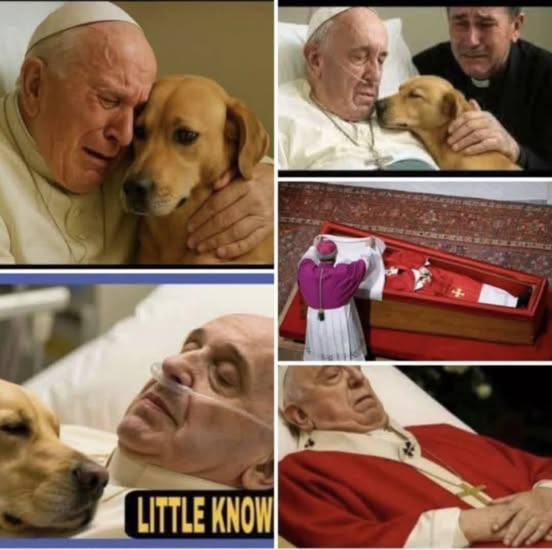 🕊️ Pope Francis asked to say goodbye to his dog seconds before .