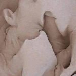 8 Steps to make a woman come🧑‍🦰 in less than a minute 🕛 See More in comment…
