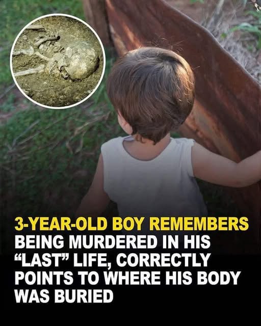 🧒✨ The Astonishing Story of a 3-Year-Old Boy Who Solved His Own Murder From a Past Life 🕵️‍♂️⚰️