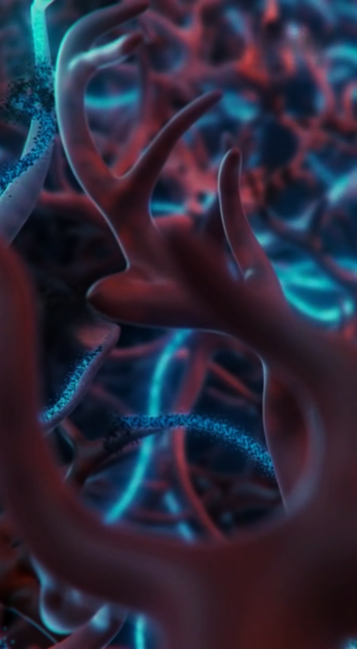 The Hidden Nightly Detox: How Your Brain Washes Away Toxins During Deep Sleep (And 3 Habits to Boost It)